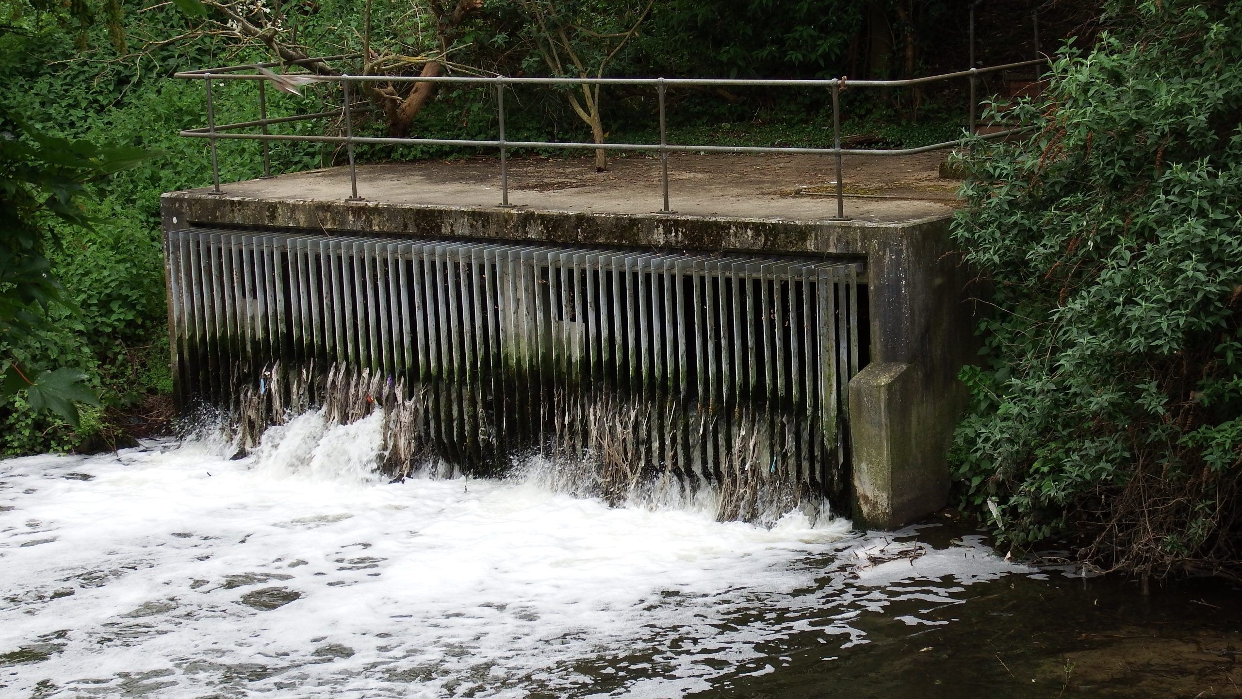 Hogsmill STW Outfall